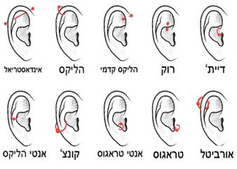 סוגי פירסינג באזניים